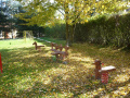 zahrada 3